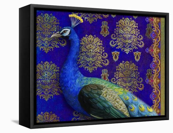 Indian Peacock-Maria Rytova-Framed Stretched Canvas