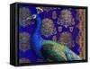 Indian Peacock-Maria Rytova-Framed Stretched Canvas