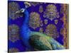 Indian Peacock-Maria Rytova-Stretched Canvas