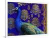 Indian Peacock-Maria Rytova-Framed Giclee Print