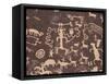 Indian Petroglyphs Drawn on Red Standstone by Scratching Away Dark Desert Varnish of Iron Oxides-Tony Waltham-Framed Stretched Canvas