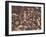 Indian Petroglyphs Drawn on Red Standstone by Scratching Away Dark Desert Varnish of Iron Oxides-Tony Waltham-Framed Photographic Print