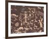 Indian Petroglyphs Drawn on Red Standstone by Scratching Away Dark Desert Varnish of Iron Oxides-Tony Waltham-Framed Photographic Print