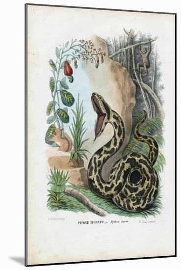 Indian Python, 1863-79-Raimundo Petraroja-Mounted Giclee Print