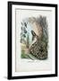 Indian Python, 1863-79-Raimundo Petraroja-Framed Giclee Print