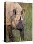 Indian Rhinoceros, Royal Chitwan National Park, Nepal-Art Wolfe-Stretched Canvas