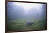 Indian Rhinoceros Standing in Morning Fog-null-Framed Photographic Print