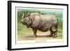 Indian Rhinoceros-null-Framed Art Print