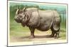 Indian Rhinoceros-null-Mounted Art Print