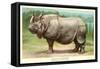Indian Rhinoceros-null-Framed Stretched Canvas