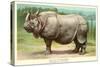Indian Rhinoceros-null-Stretched Canvas