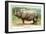 Indian Rhinoceros-null-Framed Art Print