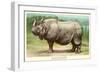 Indian Rhinoceros-null-Framed Art Print