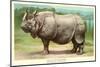Indian Rhinoceros-null-Mounted Art Print
