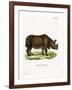 Indian Rhinoceros-null-Framed Giclee Print