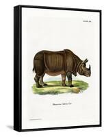 Indian Rhinoceros-null-Framed Stretched Canvas