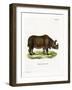 Indian Rhinoceros-null-Framed Giclee Print