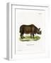 Indian Rhinoceros-null-Framed Giclee Print