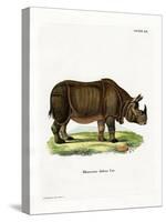 Indian Rhinoceros-null-Stretched Canvas