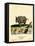 Indian Rhinoceros-null-Framed Stretched Canvas