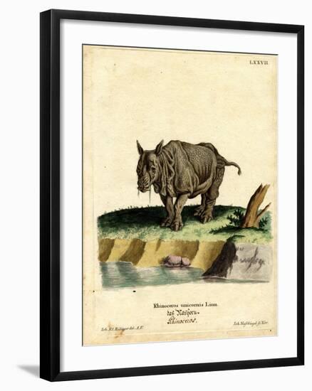 Indian Rhinoceros-null-Framed Giclee Print