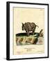 Indian Rhinoceros-null-Framed Giclee Print