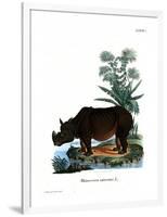 Indian Rhinoceros-null-Framed Giclee Print