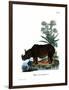 Indian Rhinoceros-null-Framed Giclee Print