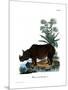 Indian Rhinoceros-null-Mounted Giclee Print