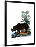 Indian Rhinoceros-null-Framed Giclee Print