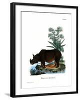 Indian Rhinoceros-null-Framed Giclee Print