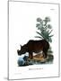 Indian Rhinoceros-null-Mounted Giclee Print