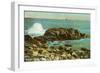 Indian Rock, Narragansett Pier, Rhode Island-null-Framed Art Print