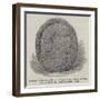 Indian Rock Sculpture Found Near Lake Utopia, New Brunswick-null-Framed Giclee Print