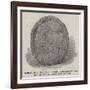 Indian Rock Sculpture Found Near Lake Utopia, New Brunswick-null-Framed Giclee Print