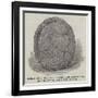 Indian Rock Sculpture Found Near Lake Utopia, New Brunswick-null-Framed Giclee Print