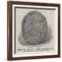 Indian Rock Sculpture Found Near Lake Utopia, New Brunswick-null-Framed Giclee Print