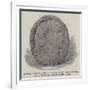 Indian Rock Sculpture Found Near Lake Utopia, New Brunswick-null-Framed Giclee Print