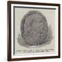 Indian Rock Sculpture Found Near Lake Utopia, New Brunswick-null-Framed Giclee Print