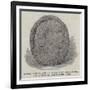 Indian Rock Sculpture Found Near Lake Utopia, New Brunswick-null-Framed Giclee Print