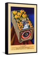 Indian Rocks Full De Luxe Box-Curt Teich & Company-Framed Stretched Canvas
