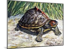 Indian Roofed Turtle (Pangshura Tecta or Kachuga Tecta), Geoemydidae-null-Mounted Giclee Print