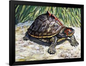 Indian Roofed Turtle (Pangshura Tecta or Kachuga Tecta), Geoemydidae-null-Framed Giclee Print