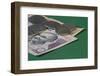 Indian Rupees on Green Background-Grufnar-Framed Photographic Print