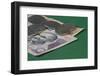 Indian Rupees on Green Background-Grufnar-Framed Photographic Print