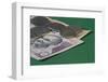 Indian Rupees on Green Background-Grufnar-Framed Photographic Print