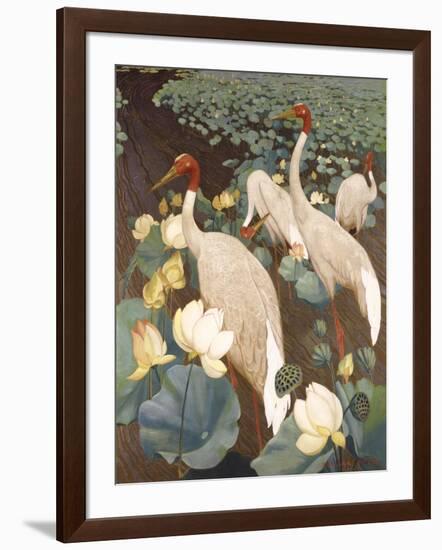 Indian Sarus Cranes on Gold Leaf-Jesse Arms Botke-Framed Art Print