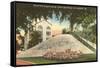 Indian Shell Mound, St. Petersburg, Florida-null-Framed Stretched Canvas