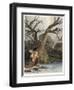 Indian Shooting Fish-Seth Eastman-Framed Giclee Print