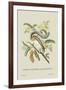 Indian Squirrel and Tamarind-J. Forbes-Framed Art Print